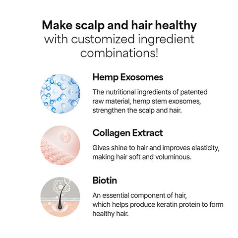 COSMOD:LAB EXSOLUTE SHAMPOO